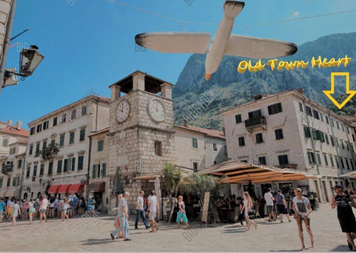 Apartmán Old Town Heart Kotor Exteriér fotografie